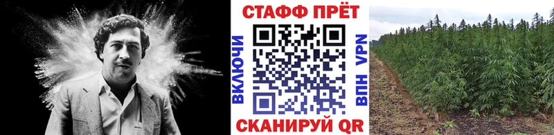 Наркошоп купить КОКАИН  Альфа ПВП  Меф мяу мяу  Метамфетамин  Конопля  ГАШ  Отрадный