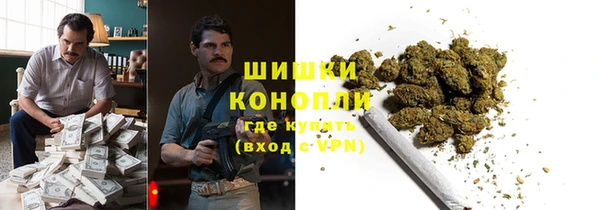 крисы Бугульма
