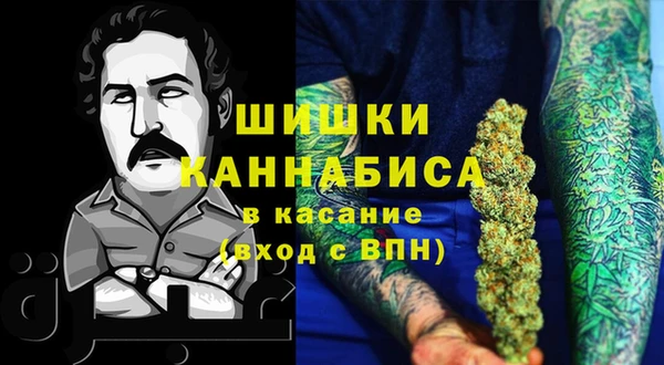 крисы Бугульма