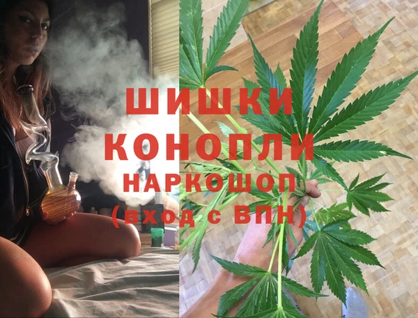 крисы Бугульма