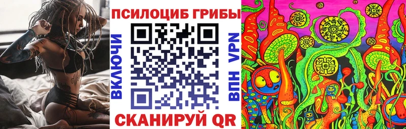 Галлюциногенные грибы Cubensis  Купить закладки  Отрадный 