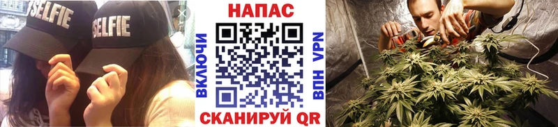 Купить закладки  Отрадный  Канабис гибрид 